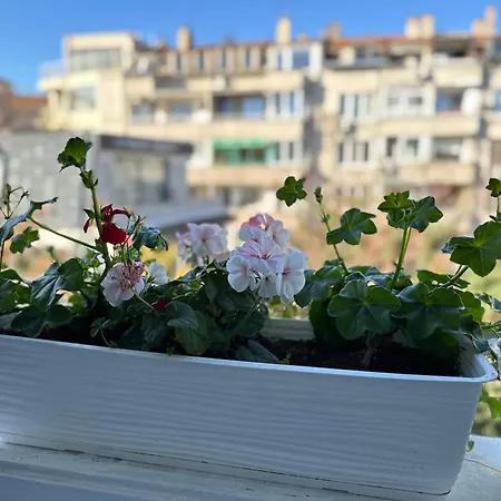 Something In French * بورغاس