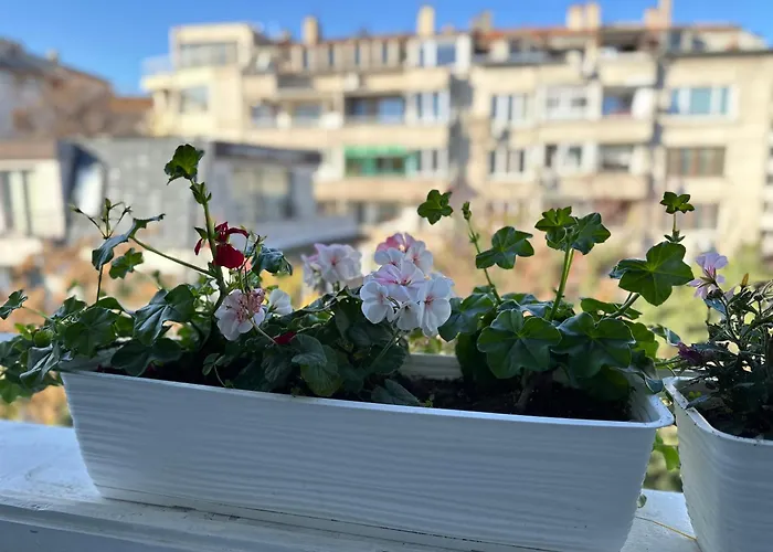 Something In French * Burgas